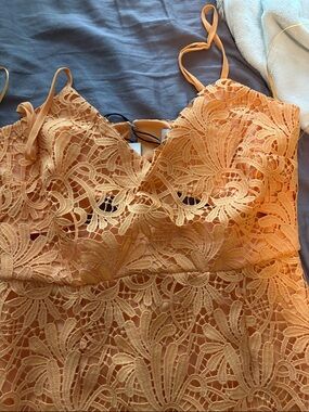 NSR Crochet Stretch Lace Midi Dress in Blush at Nordstrom, Size X-Large